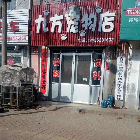 九方宠物店:青岛市莱西市莱西市附近