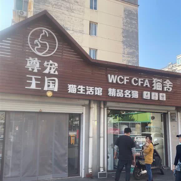 尊宠王国:淄博市张店区山东理工大学附近