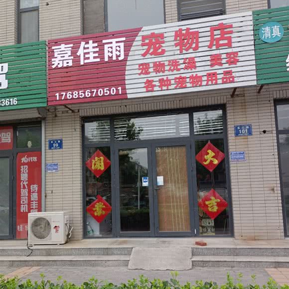 嘉佳雨宠物店:淄博市张店区人民东路附近
