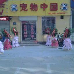 宠物中国:淄博市张店区人民东路附近