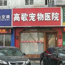 高歌宠物医院:淄博市张店区世纪路附近