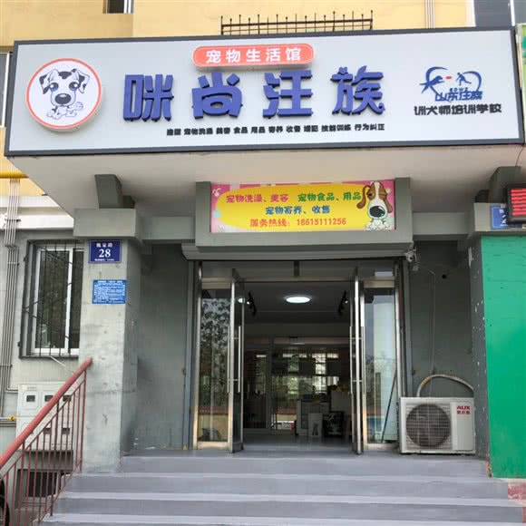 咪尚汪族宠物生活馆:淄博市张店区高新区附近