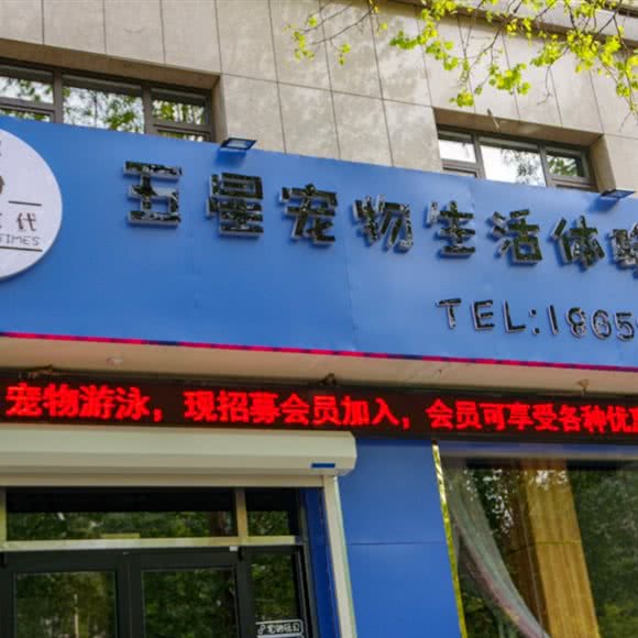 萌宠时期:淄博市张店区植物园附近