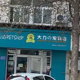 大力の宠物店:淄博市张店区中润大道附近