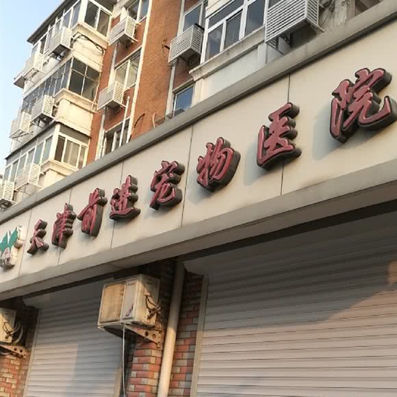 前进宠物医院:天津城区河西区围堤道沿线附近