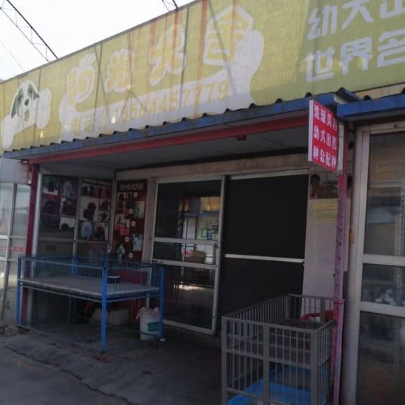 阳光犬舍:淄博市张店区东二路附近
