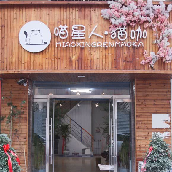 喵星人猫咖:枣庄市市中区振兴路附近