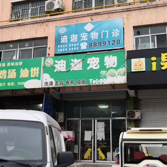 迪迦宠物生活馆:枣庄市市中区文化路附近