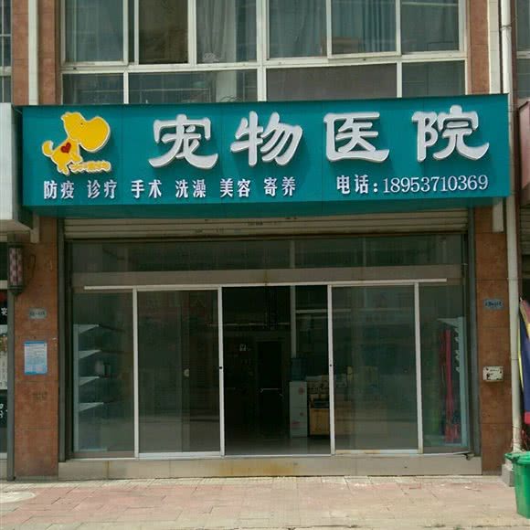 大嘴狗宠物医院:枣庄市市中区东湖/鲁南水城附近