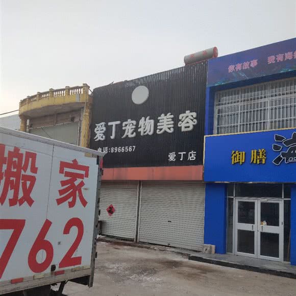 爱丁宠物美容(爱丁店):东营市东营区北一路附近
