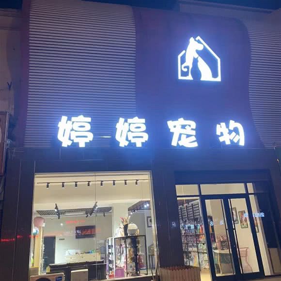 婷婷宠物酒店:东营市东营区北一路附近
