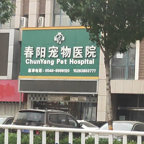 东营市猫病专科医院:东营市东营区北一路附近
