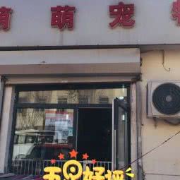 萌萌宠物:天津城区河西区小海地附近