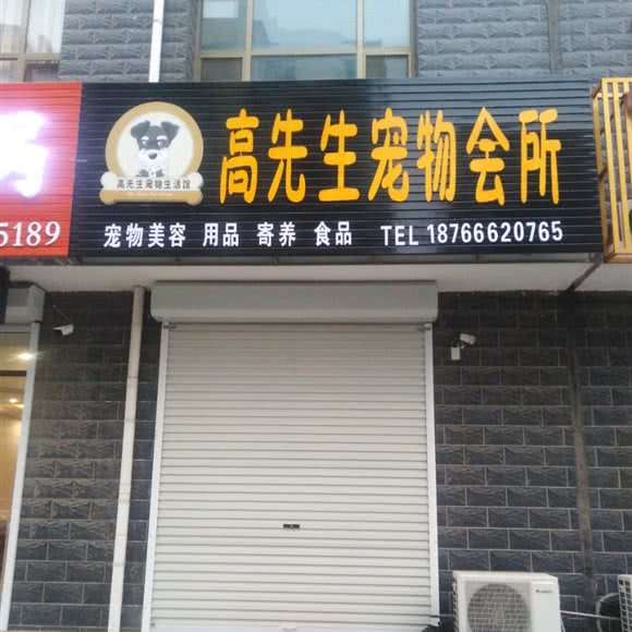 高先生宠物会所:东营市东营区八分场附近