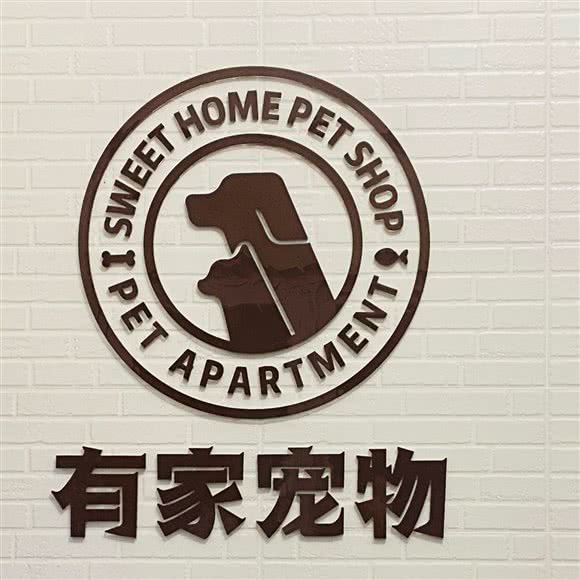 有家宠物猫咪生活馆:天津城区河西区小海地附近