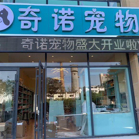 奇诺猫舍(宠物)(水城国际店):东营市东营区淮河路附近