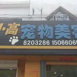 小高宠物美容:东营市东营区西城附近