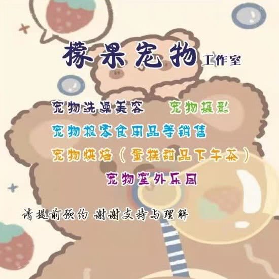 檬果宠物:东营市东营区西城附近