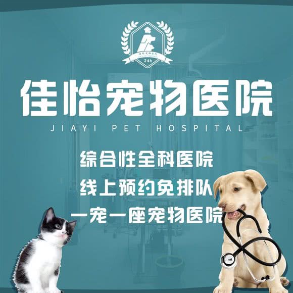 佳怡宠物医院 · 24小时:天津城区河西区小海地附近