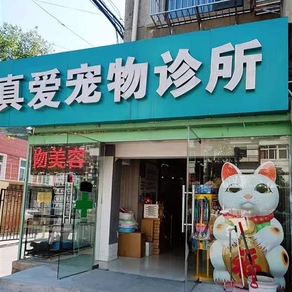 真爱宠物诊所:天津城区河西区小海地附近