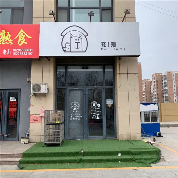 宠爱Pet Home:东营市东营区东城附近