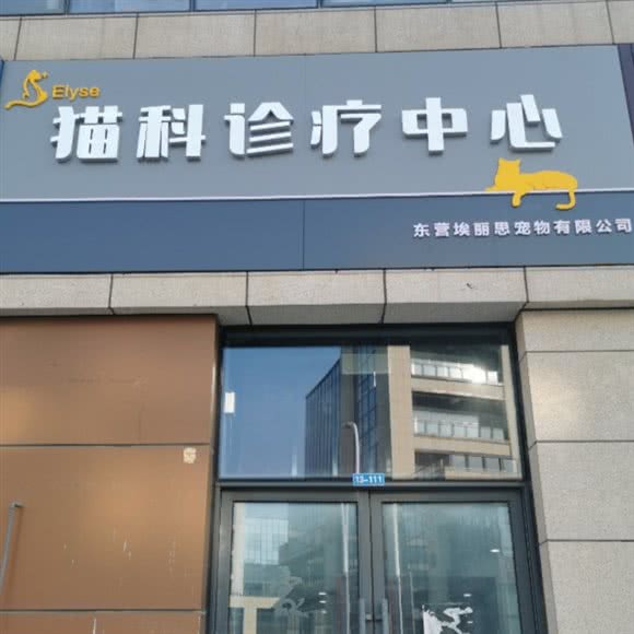 Elyse猫科诊疗中心:东营市东营区东城万达广场附近