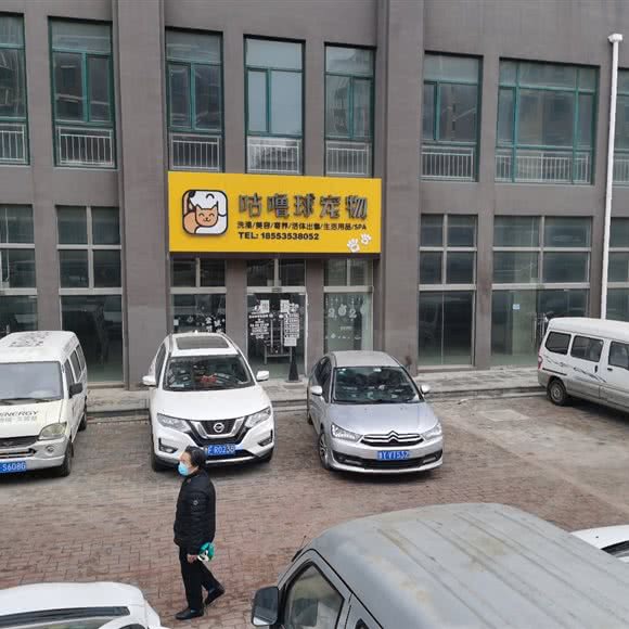 咕噜球宠物:烟台市芝罘区机场路/黄务附近