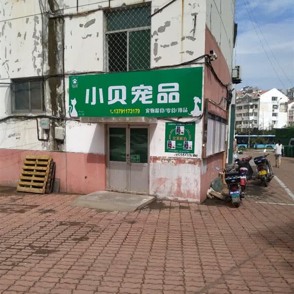小贝宠品:烟台市芝罘区机场路/黄务附近