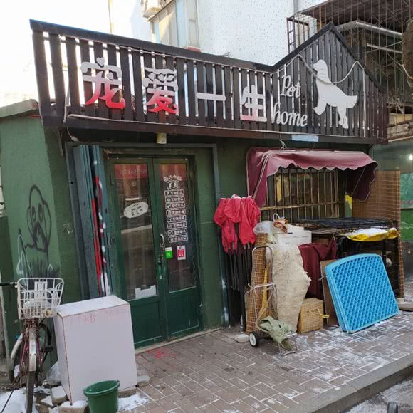 宠爱一生:烟台市芝罘区上夼美食街附近