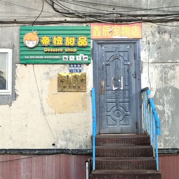 鑫辰宠物店:烟台市芝罘区青年路附近