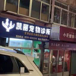 凯丽宠物诊所:烟台市芝罘区青年路附近