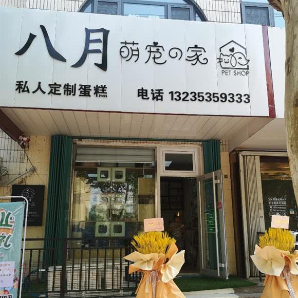 八月萌宠之家:烟台市芝罘区二马路附近