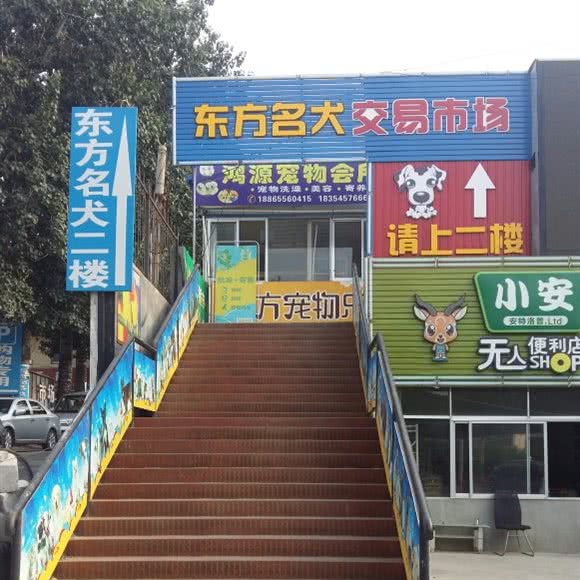 东方宠物市场:烟台市芝罘区幸福商圈附近