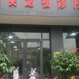 纯美宠物诊所:天津城区河西区梅江小区附近