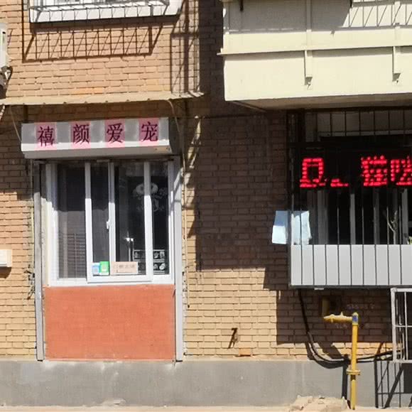 禧颜爱宠:天津城区河西区宾水道/体院北附近