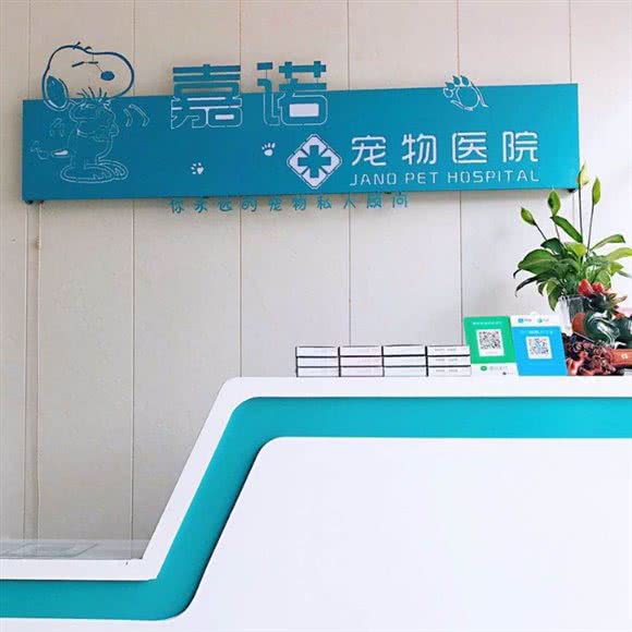 嘉诺宠物医院:烟台市福山区福海路附近