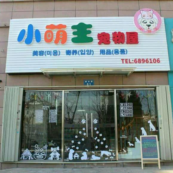 小萌主宠物屋:烟台市莱山区迎春大街附近