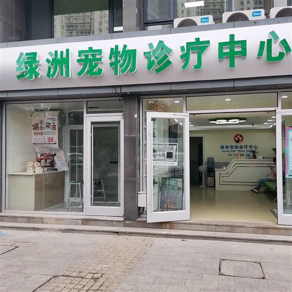绿洲宠物诊疗中心:天津城区河西区宾水道/体院北附近