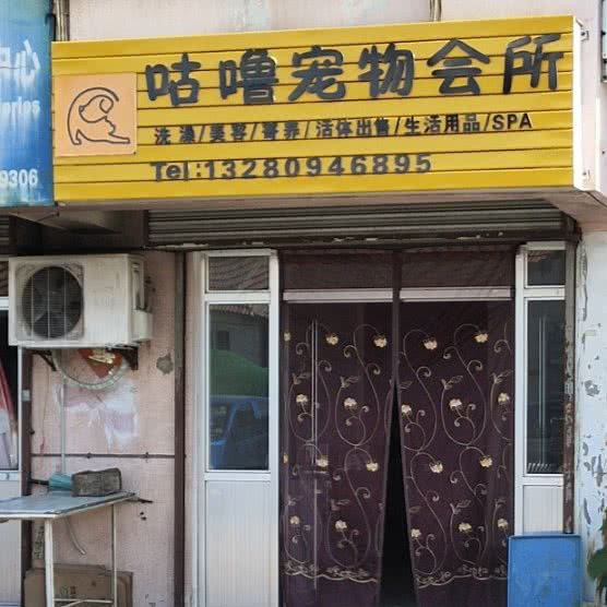 咕噜宠物会所:烟台市莱山区迎春大街附近