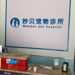 妙贝宠物诊所:烟台市莱山区迎春大街附近