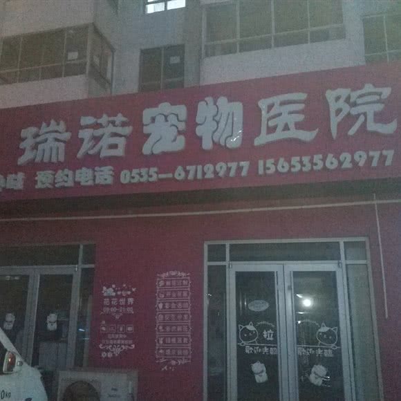 瑞诺宠物医院:烟台市莱山区迎春大街附近