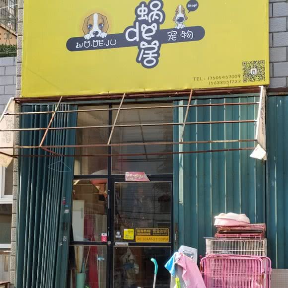 蜗de居宠物:烟台市莱山区海韵路附近