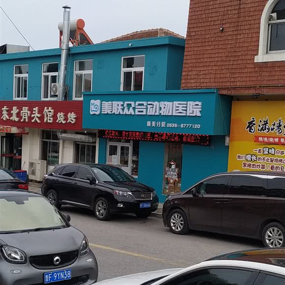 美联众合动物医院:烟台市莱山区电力小区附近