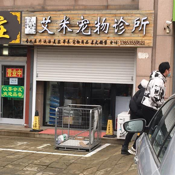 艾米宠物诊所:烟台市蓬莱区蓬莱区附近