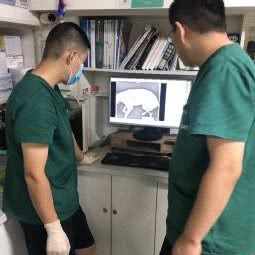派特宠物医院:烟台市蓬莱区蓬莱区附近