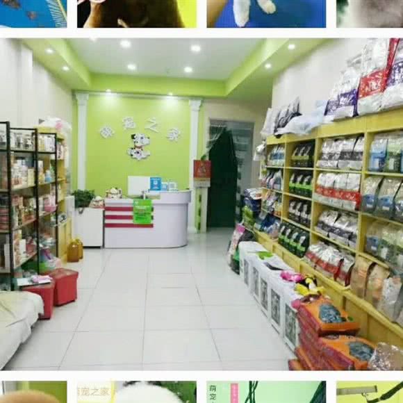 萌宠之家:潍坊市潍城区中百大厦附近