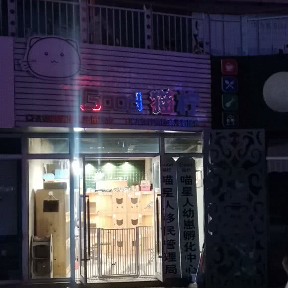 Good猫柠:潍坊市奎文区泰华附近