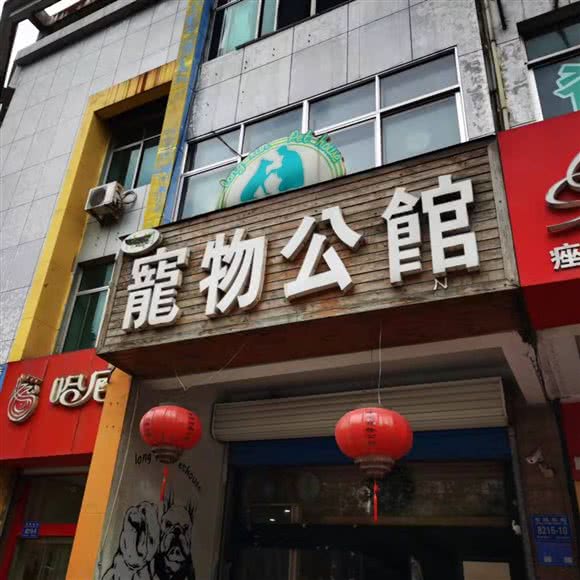 寵物公馆:潍坊市奎文区虞河路附近