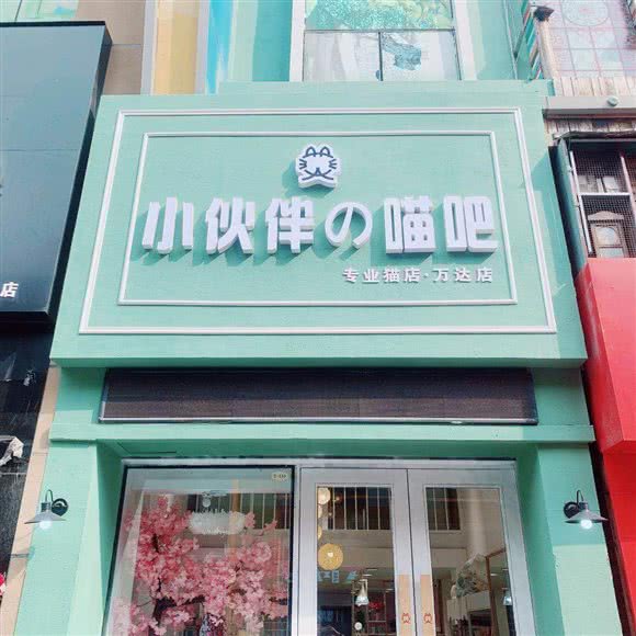 小伙伴の喵吧(万达店):潍坊市奎文区万达广场附近