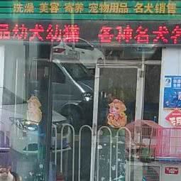小马哥宠物生活会馆:潍坊市奎文区圣荣附近